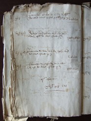 E 3564 (21)